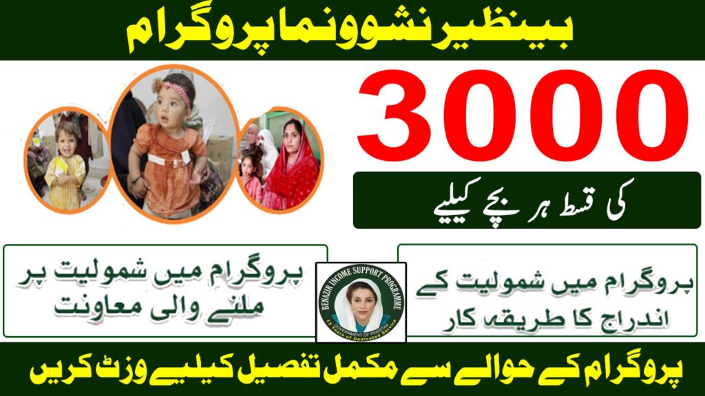 Benazir Nashonuma Programme 2025