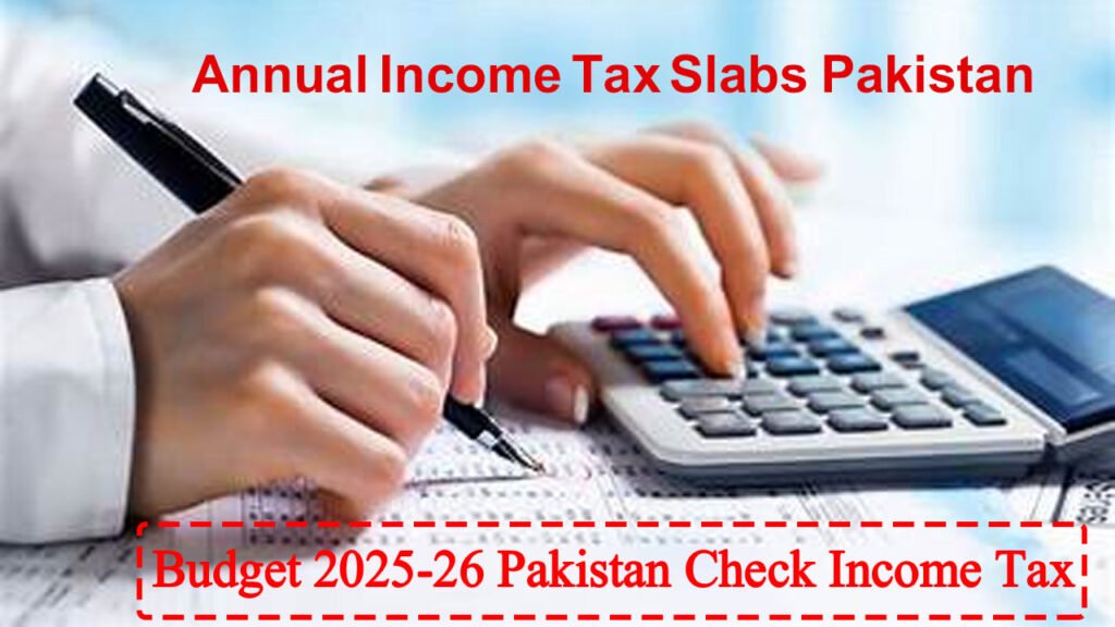 Budget 2025-26 Pakistan Check Income Tax